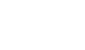 logo van DV Line